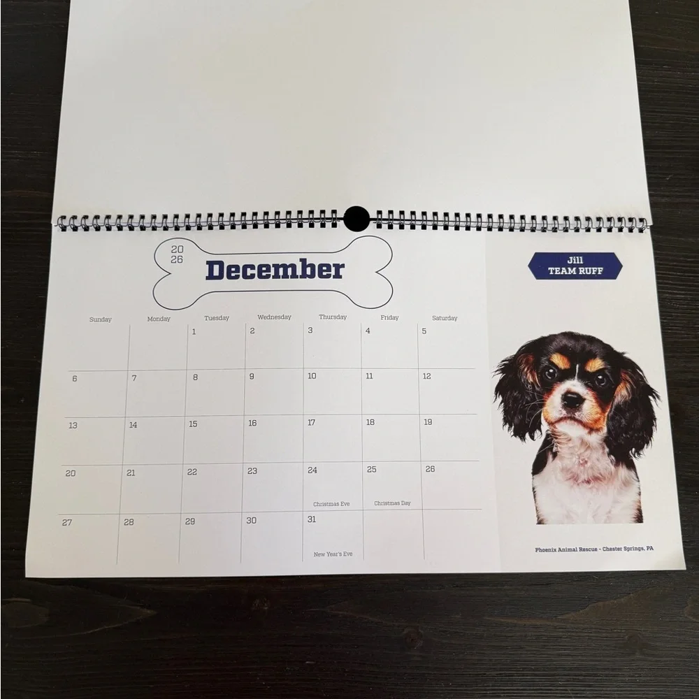 Puppy Bowl XXII Calendar